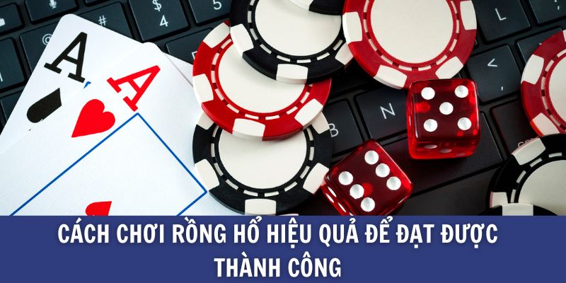 Cách chơi rồng hổ hiệu quả để đạt được thành công