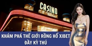 Khám phá thế giới rồng hổ xibet đầy kỳ thú