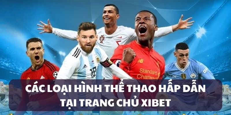 Các loại hình thể thao