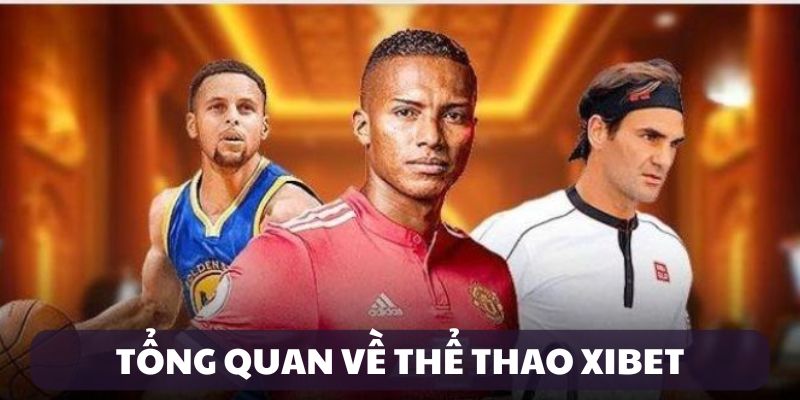 Giới thiệu thể thao Xibet