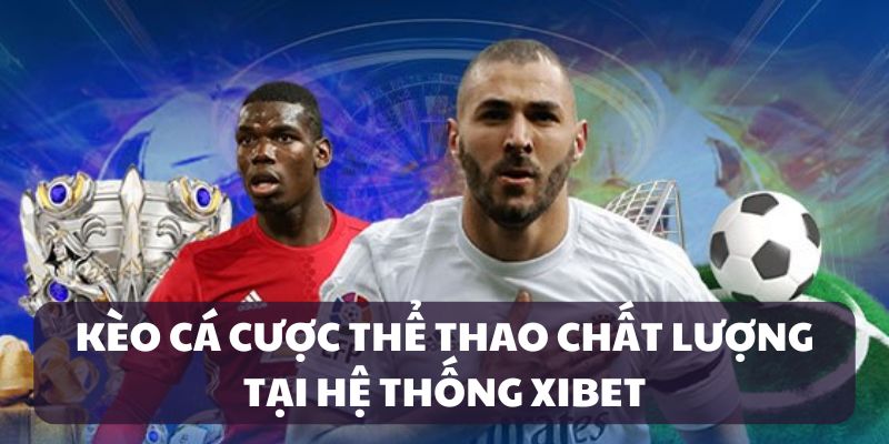 Các kèo cược thể thao