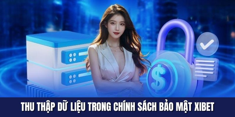Thu thập dữ liệu trong chính sách bảo mật XIBET